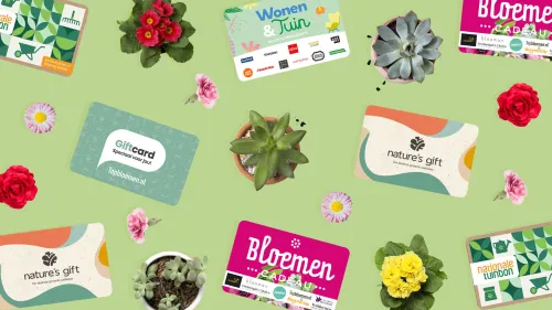 Dit zijn de 5 beste plantenbonnen van dit moment!